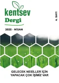 nisan kapak